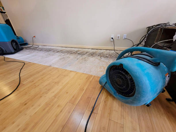 Professional Structural Drying technician working in Old Fort, OH